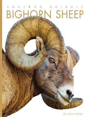 cover image of Bighorn Sheep